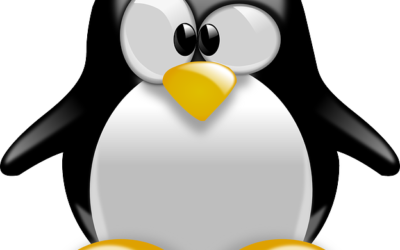 Qualys prend désormais en charge  les patches pour Linux