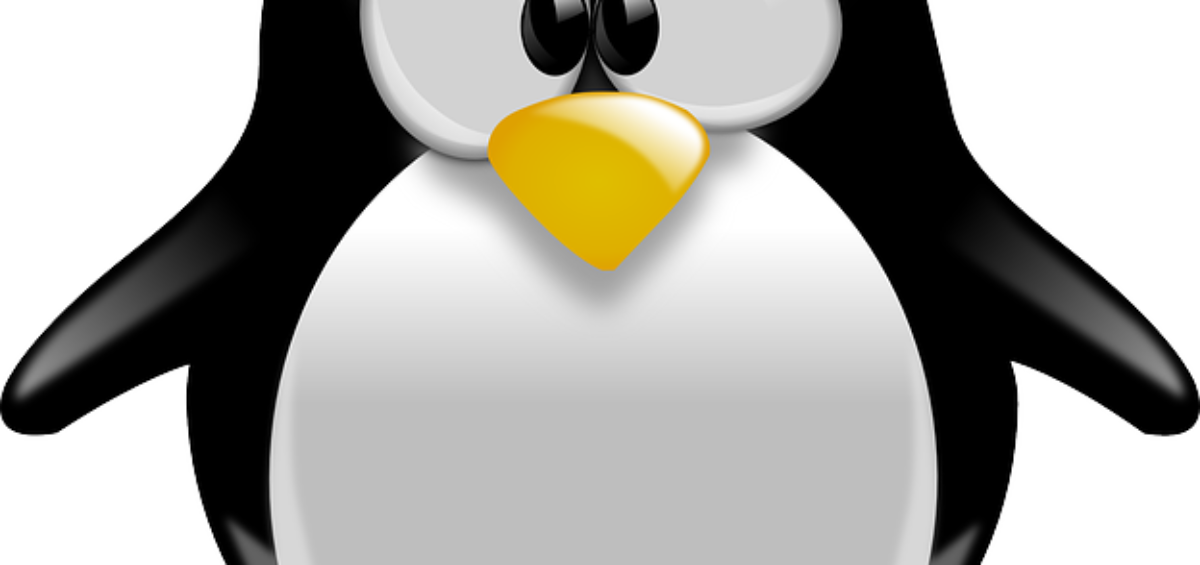 Qualys prend désormais en charge les patches pour Linux - ALX Comm